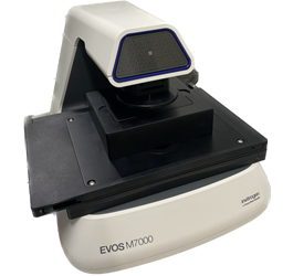 FT-IR spectroscopy