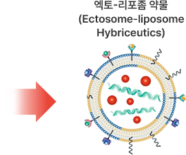 Microfluidic mixing 과정