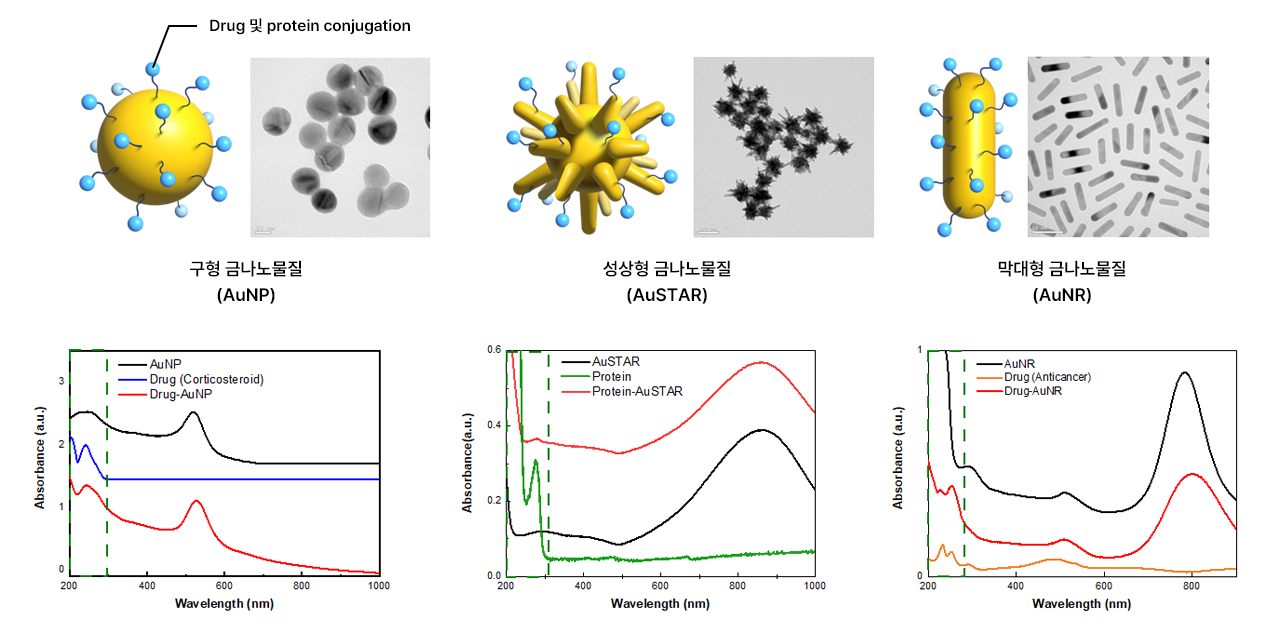 Gold nanoparticle