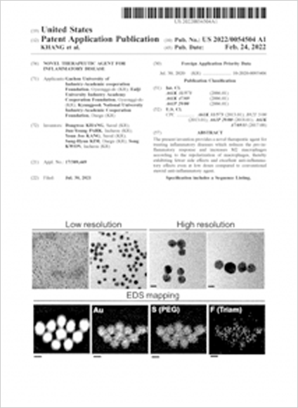 (US) New Inflammatory Disease Treatment