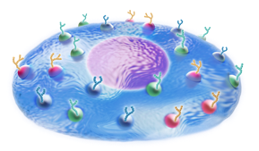 New alternative therapeutics for intractable diseases using (Non-genetically modified) ectosome