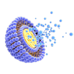 nano_1
